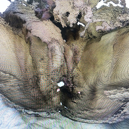 Interrupted 3D scan by artist Paul Coombs